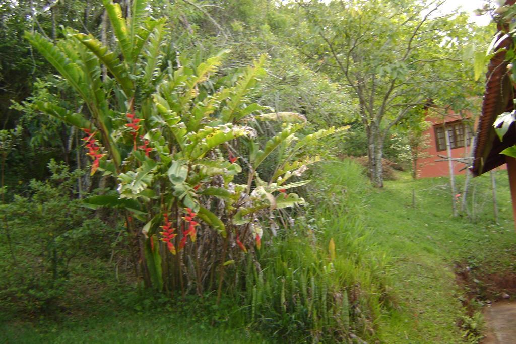 Ibiúna Pousada Passaredo Montanha المظهر الخارجي الصورة